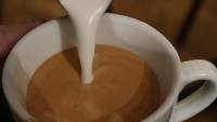 Bio Kaffee Secolino Bio Kaffeer&ouml;sterei Fairtrade